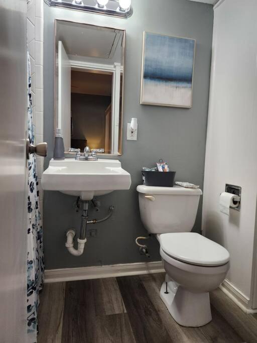 Blue Shark *W7* @ Montrose 1Br Private King Loft Apartment Houston Luaran gambar
